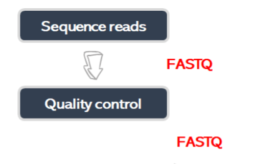 Flow diagram that shows the steps: Sequence reads and Quality control.