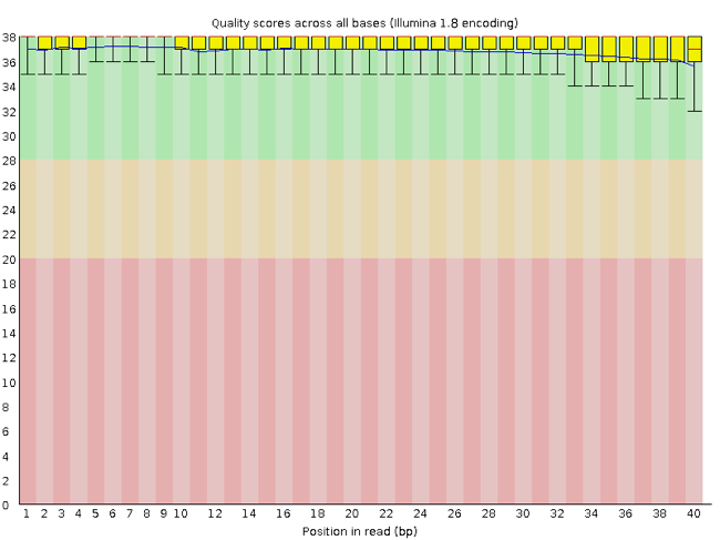 Quality graph showing a boxplot for each sequence position in the x-axis, and the Phred score in the y-axis. The background is colored red for the Phred scores 0 to 20, yellow for the scores 20 to 28, and green for the scores 28 to 38. All of the boxes for each position are in the green area.