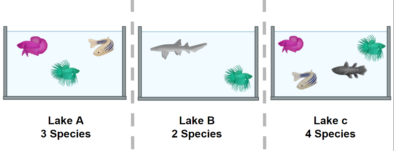 Alpha diversity diagram: In lake A, we have three fishes, each one of a different species. On lake B, we have two fish, each of a different species. Moreover, we have four fish in lake C, each of different species.