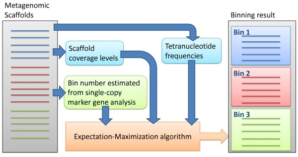 MaxBin2. Wu et al., 2014. https://doi.org/10.1186/2049-2618-2-26