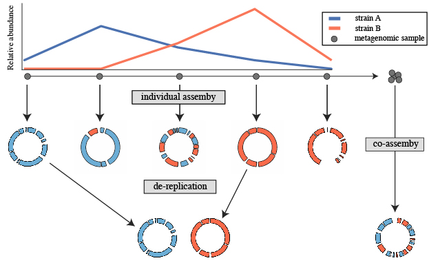 DASTool. Olm et al., 2017.